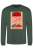 Bottle Green