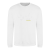 Arctic White