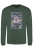 Bottle Green