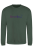 Bottle Green