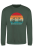 Bottle Green
