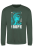 Bottle Green