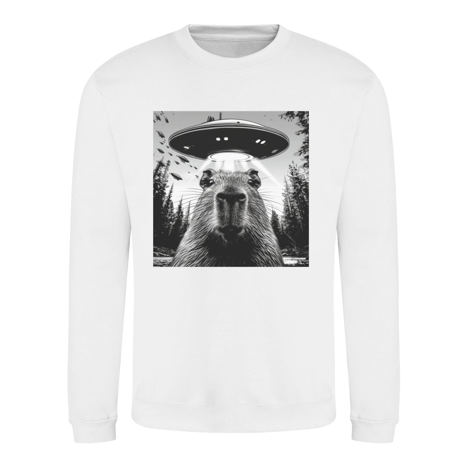 Arctic White