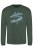 Bottle Green